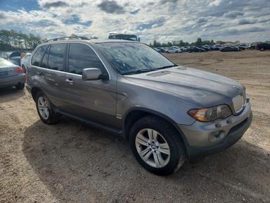 Vista de 2006 BMW X5 4.4I, ángulo 4