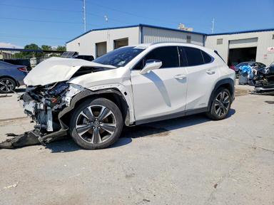 2021 LEXUS UX 250H view, angle 1