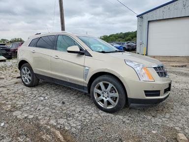 Вид 2010 CADILLAC SRX LUXURY COLLECTION, угол 4