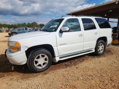 Vista de 2004 GMC YUKON DENALI, ángulo 1