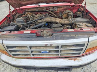 Вид 1997 FORD F250, угол 11