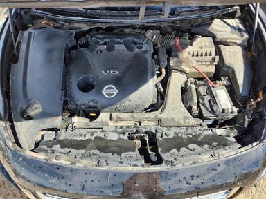 منظر 2009 NISSAN MAXIMA 3.5 S، زاوية 11