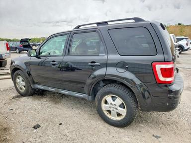 Vue de 2011 FORD ESCAPE XLT, angle 2