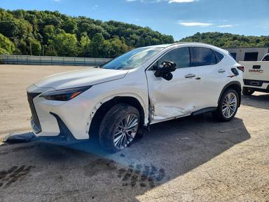 Vista de 2024 LEXUS NX 350 LUXURY, ángulo 1