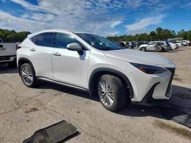 Vista de 2024 LEXUS NX 350 LUXURY, ángulo 4