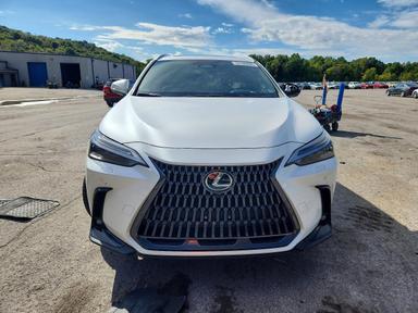 Vista de 2024 LEXUS NX 350 LUXURY, ángulo 5