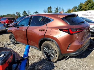 Vue de 2026 LEXUS NX 350H PREMIUM, angle 2