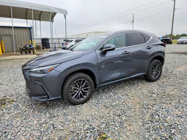 Vedere 2023 LEXUS NX 250, unghi 1