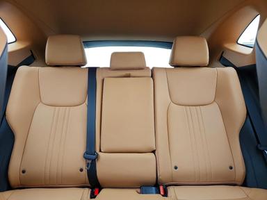 Vedere 2023 LEXUS NX 250, unghi 10