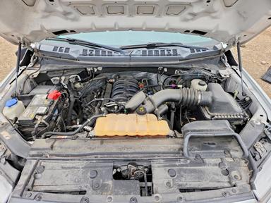 Вид 2019 FORD F150 SUPERCREW, угол 11