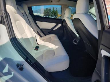 Вид 2019 TESLA MODEL 3, угол 10
