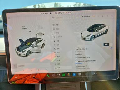 Вид 2019 TESLA MODEL 3, угол 9