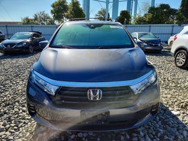 Вид 2022 HONDA ODYSSEY TOURING, угол 5