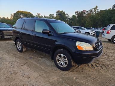 Vista de 2005 HONDA PILOT EX, ángulo 4