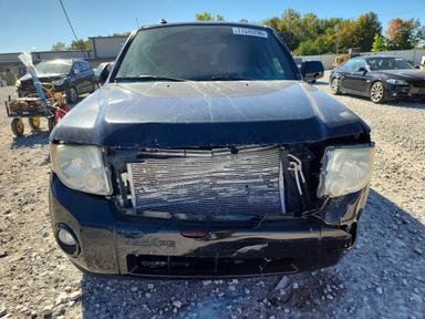 Vue de 2010 FORD ESCAPE XLT, angle 5