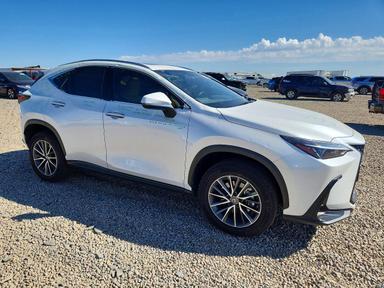 Vue de 2024 LEXUS NX 350 PREMIUM, angle 4
