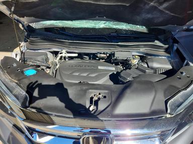 Vue de 2019 HONDA PILOT EX, angle 12