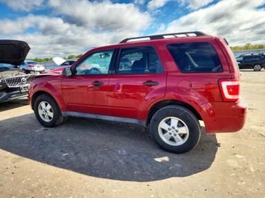 Vista de 2010 FORD ESCAPE XLT, ángulo 2