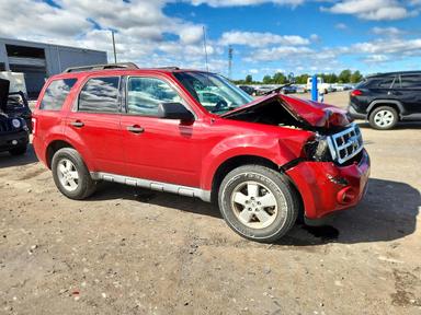 Vista de 2010 FORD ESCAPE XLT, ángulo 4