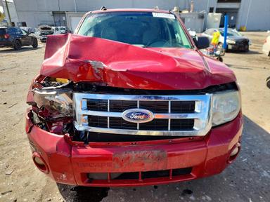 Vista de 2010 FORD ESCAPE XLT, ángulo 5