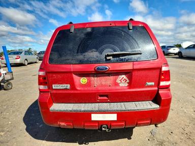 Vista de 2010 FORD ESCAPE XLT, ángulo 6