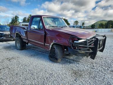 Vista de 1996 FORD F150, ángulo 4
