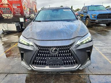 Vedere 2025 LEXUS NX 350H LUXURY, unghi 5