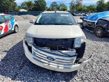 Vista de 2008 FORD EDGE SEL, ángulo 5