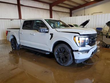 2023 FORD F150 SUPERCREW view, angle 4