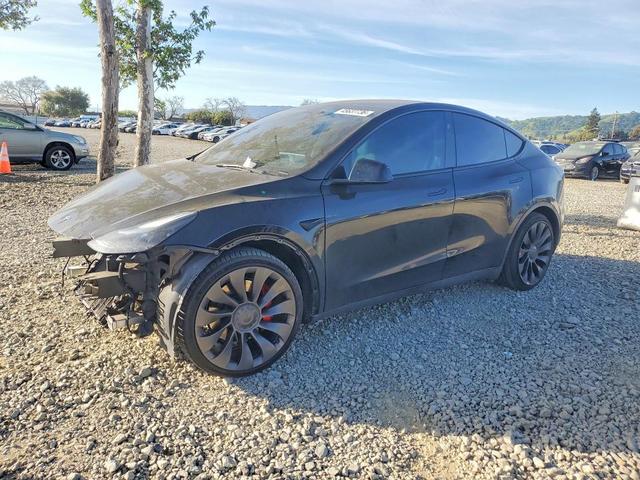 2023 TESLA MODEL Y   