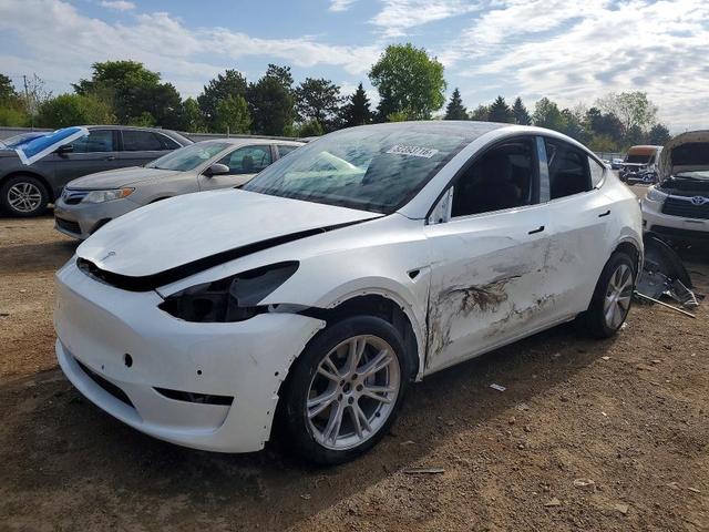 2021 TESLA MODEL Y   