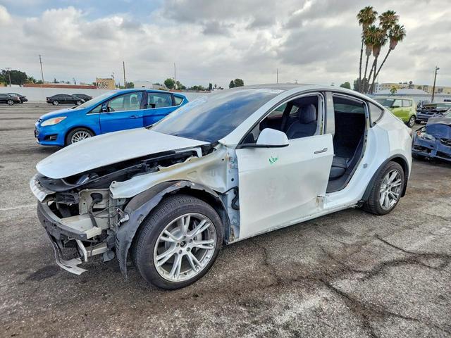 2021 TESLA MODEL Y   