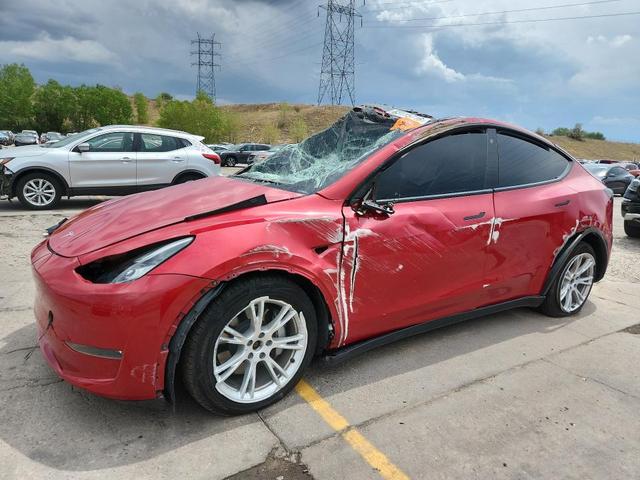 2022 TESLA MODEL Y   