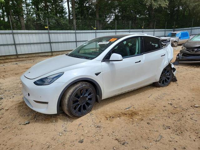 2021 TESLA MODEL Y   
