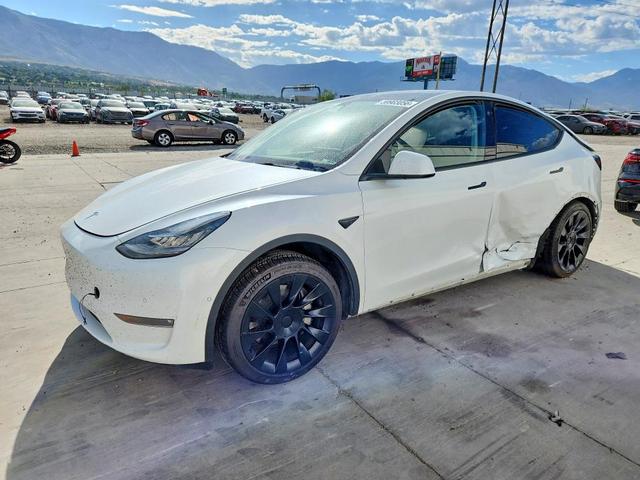 2021 TESLA MODEL Y   