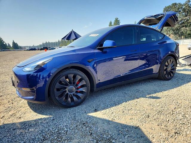 2023 TESLA MODEL Y   