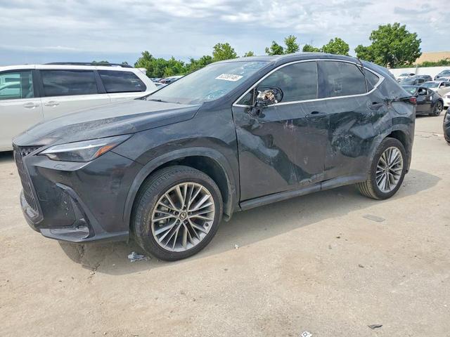 2026 LEXUS NX 350 LUXURY  
