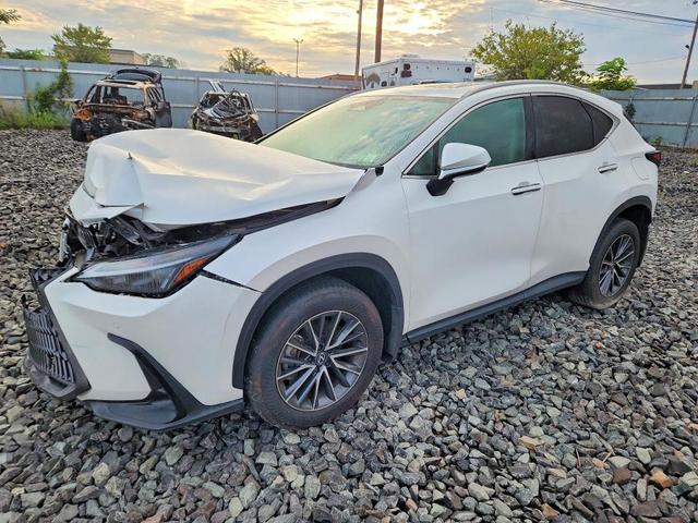 2025 LEXUS NX 250 BASE  