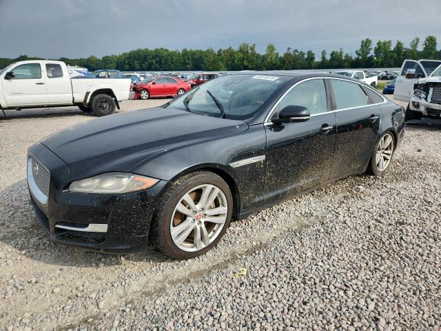 2019 JAGUAR XJL PORTFOLIO  