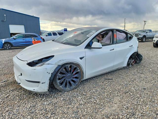 2023 TESLA MODEL Y   