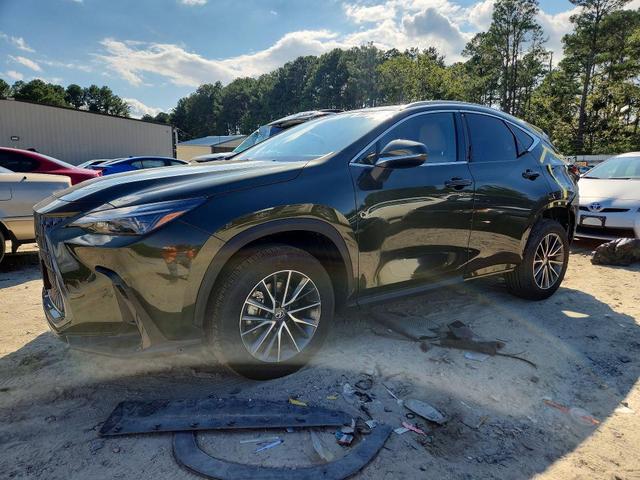 2025 LEXUS NX 350H PREMIUM  