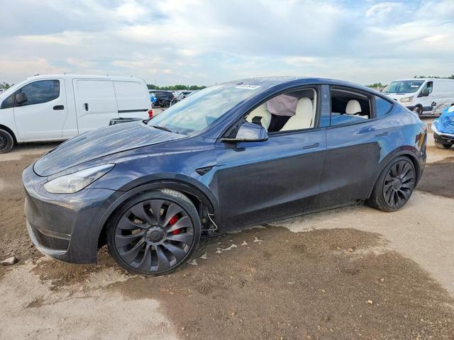 2025 TESLA MODEL Y   