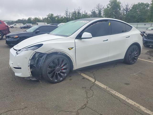 2025 TESLA MODEL Y   