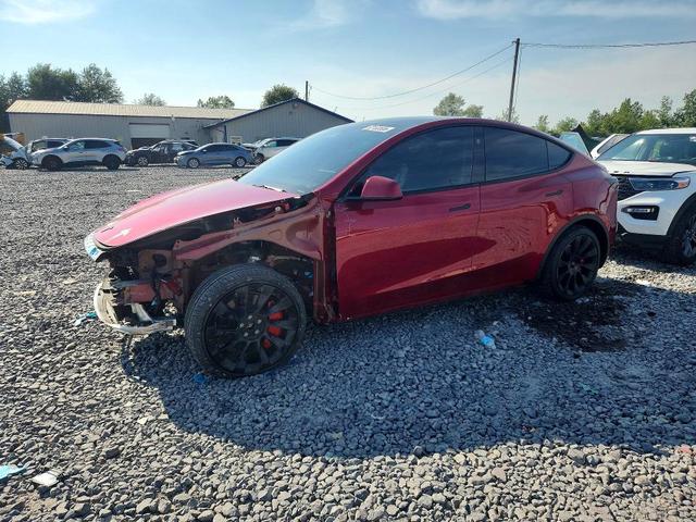 2025 TESLA MODEL Y   
