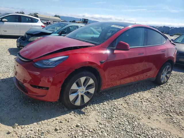 2022 TESLA MODEL Y   