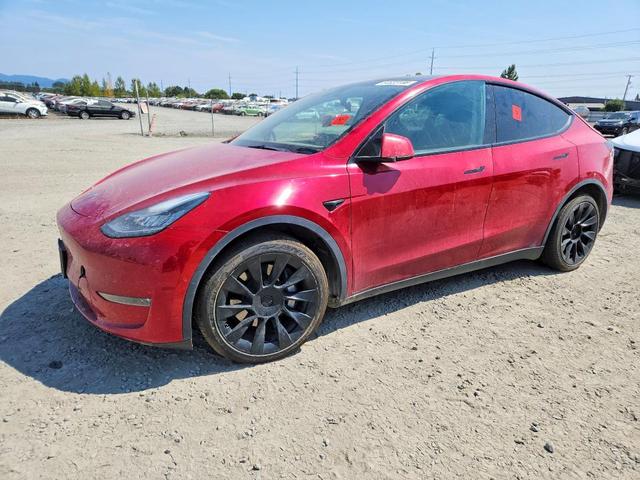 2021 TESLA MODEL Y   