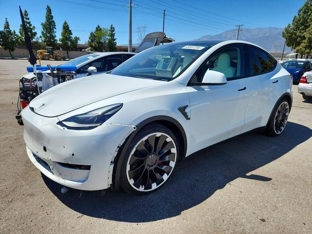 2022 TESLA MODEL Y   