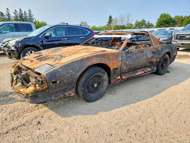 1984 PONTIAC FIREBIRD TRANS AM  