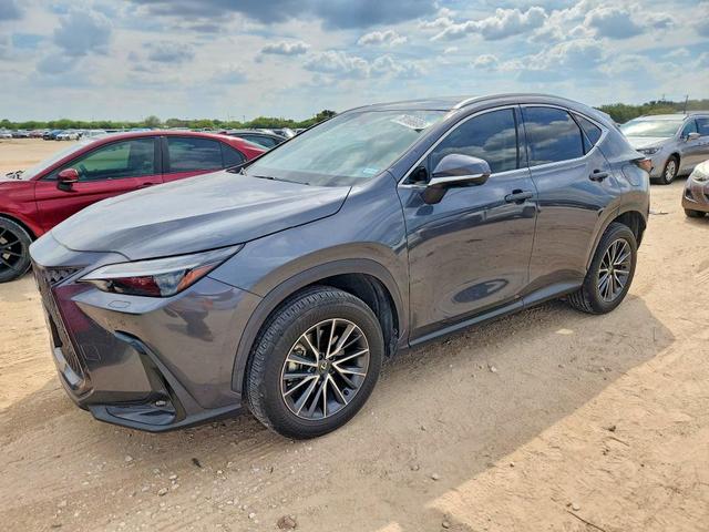2024 LEXUS NX 350 LUXURY  