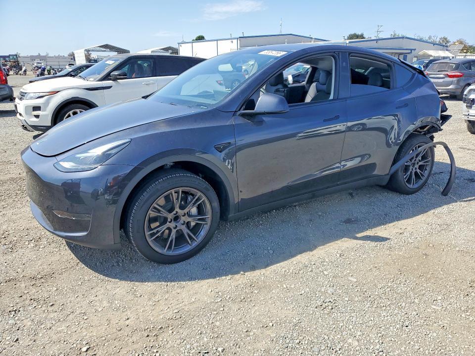 2025 TESLA MODEL Y   